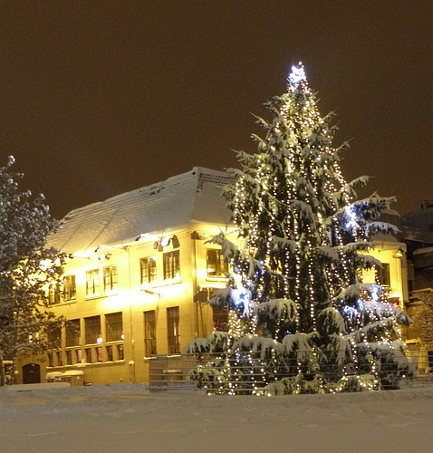 For All...Merry XMass -Healthy 2020 !!!