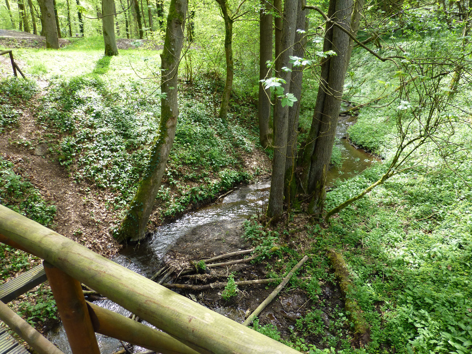 Auf dem Höhlen- und Schluchtensteig