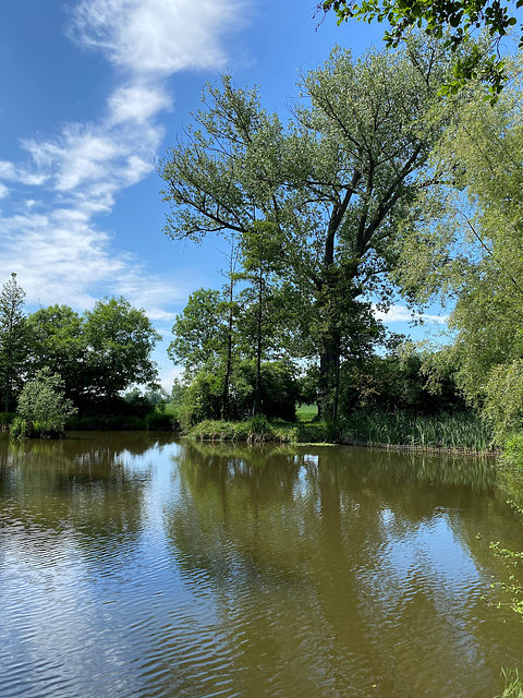 HBM mit der Anglerbank