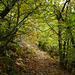 20241013 Rando Col de Bes (Cévennes) (26)