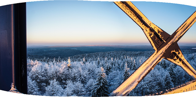 Frosty's Lookout Tower