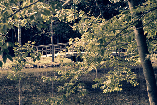 Bridge