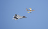 Lockheed F-22A Raptor and North American F-86F Sabre
