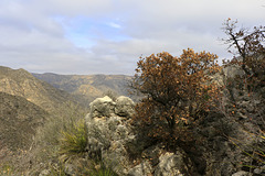 Guadalupe Mountains