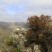 Guadalupe Mountains