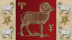 Year of The Sheep