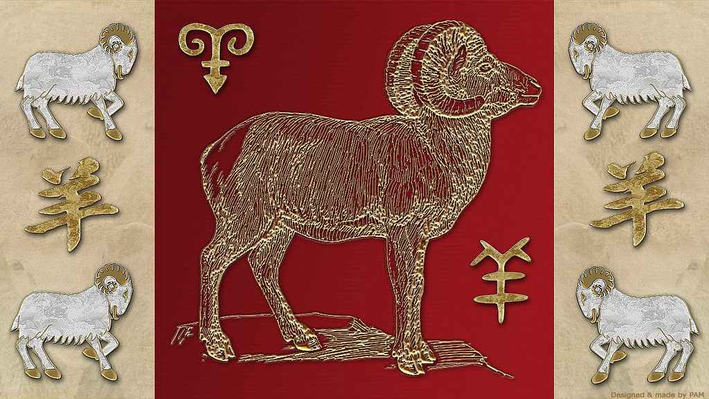 Year of The Sheep