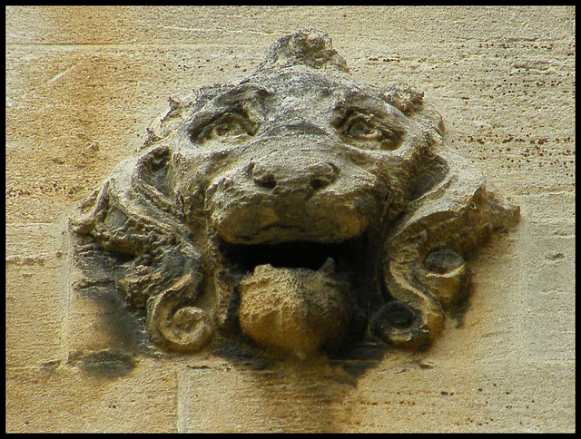 grotesque lion