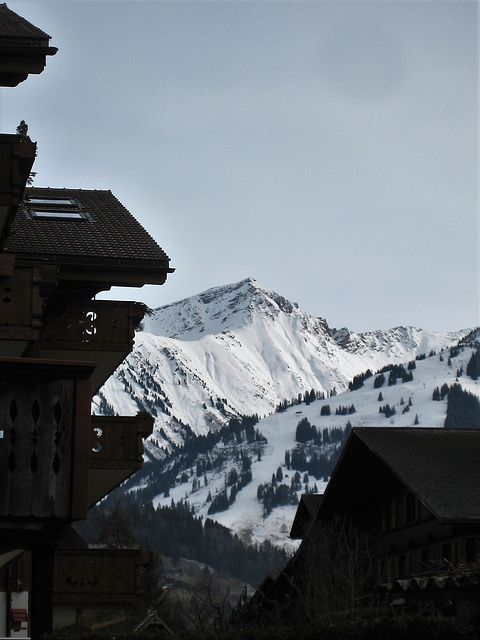 Saanen - (Schweiz)