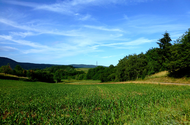 DE - Bad Neuenahr - On the red wine trail