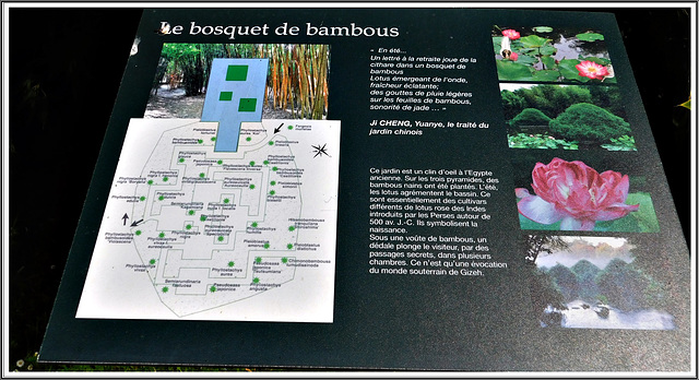 Au parc Botanique de Haute Bretagne (35)
