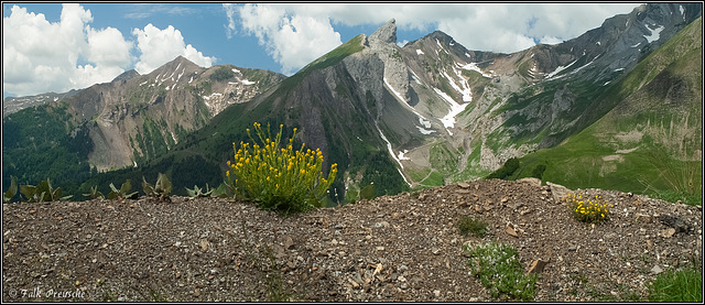 Col d'Allos