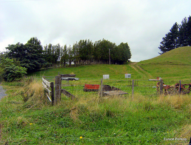 Paddock of Old Farm Equipment.