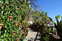 Flower Pots In Artenara