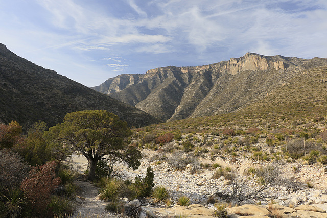 McKittrick Canyon Trail