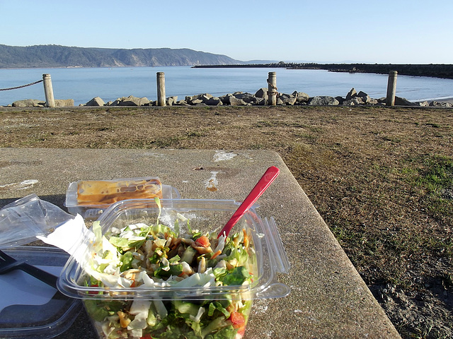 Eating with the gulls