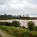 Weeford Sand and gravel pits