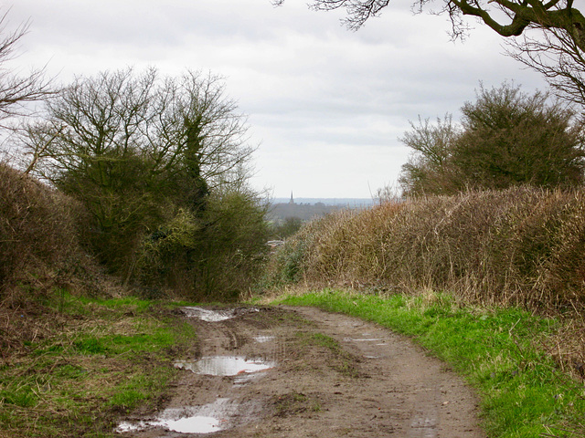 Looking NW along Salt Street with the spire of the Church of St Andrew at Clifton Campville in the distance