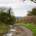 Looking NW along Salt Street with the spire of the Church of St Andrew at Clifton Campville in the distance