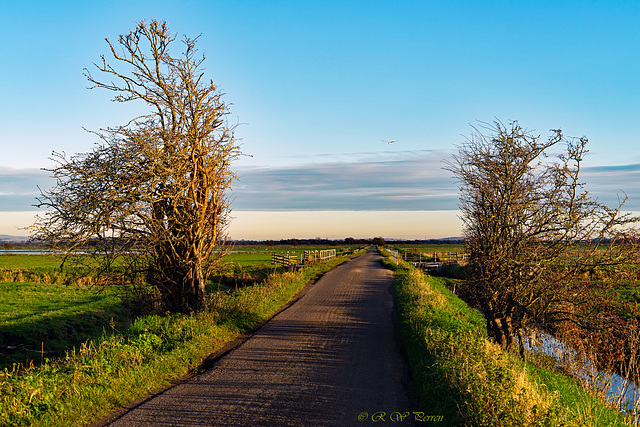 Flight Path HFF