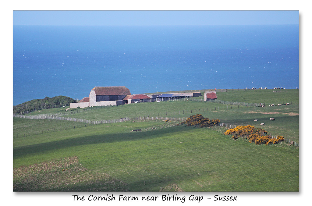 Cornish Farm near Birling Gap - Sussex - 30.4.2015