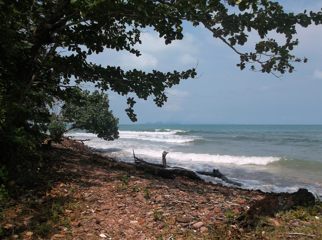 ธรรมชาติไทย / Thaï wilderness / Nature Thaïlandaise