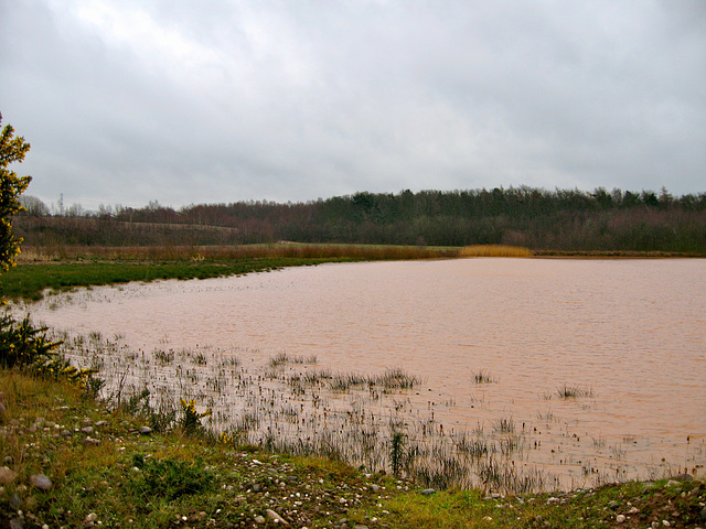 Weeford Sand and gravel pits