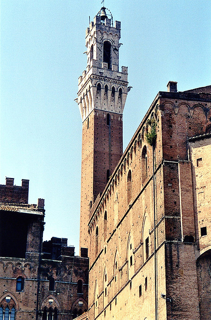 Palazzo Pubblico (Palazzo Comunale) ( 2004 )