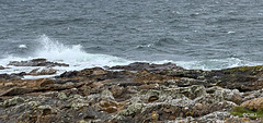 View from the Tarbet Ness Peninsula coastal trail