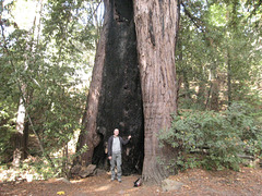 Pfeiffer Big Sur State Park