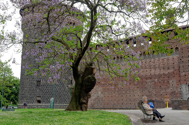 Château Sforzesco (extérieur)