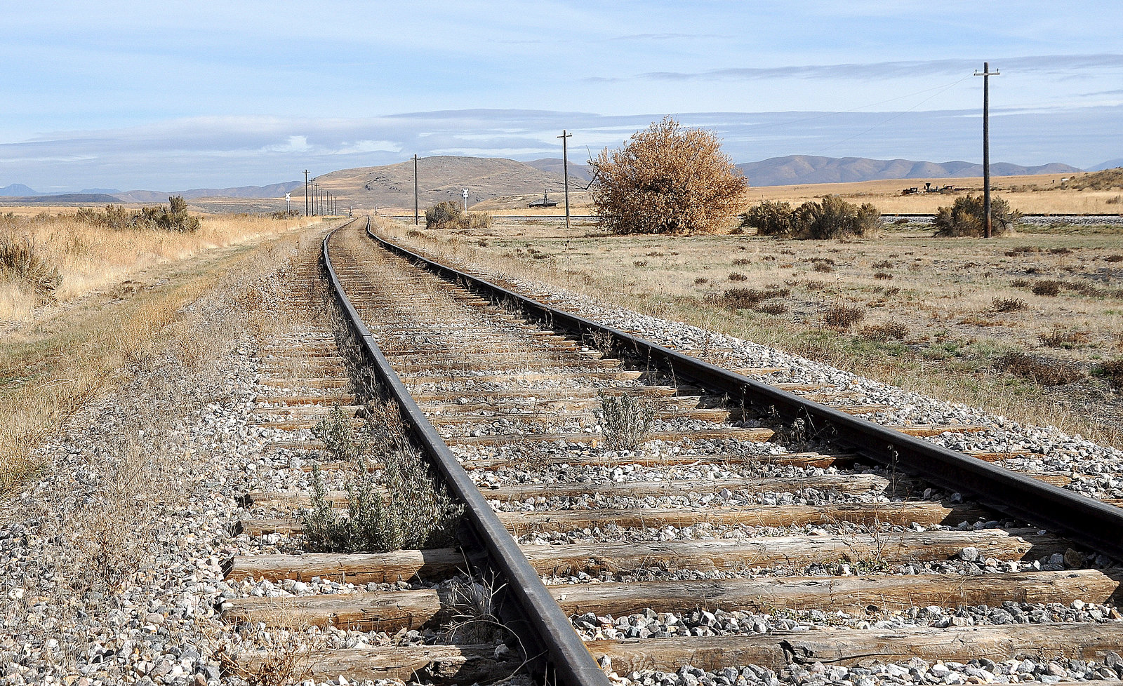 Golden Spike