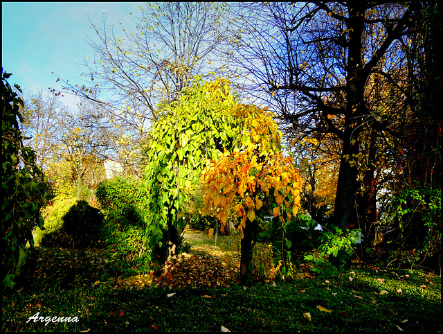 Signs of autumn