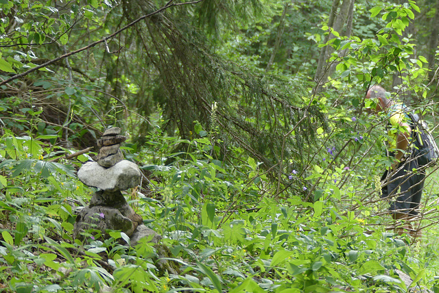 20170718 -23 Randos St Agnan en Vercors (156) al