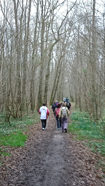 Marche nordique à Livry-sur-Seine 19/03/2017