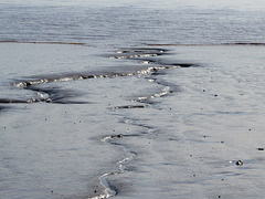 Bay of Fundy at low tide