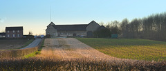 a learn  farm