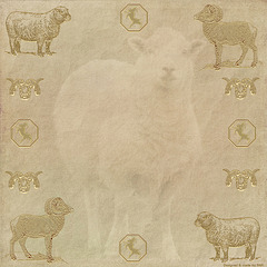 Year of The Sheep 5