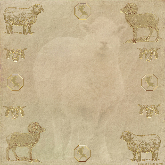 Year of The Sheep 5