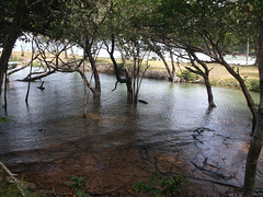 ธรรมชาติไทย / Thaï wilderness / Nature Thaïlandaise