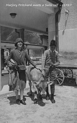 Marjory and a Swiss calf c1927