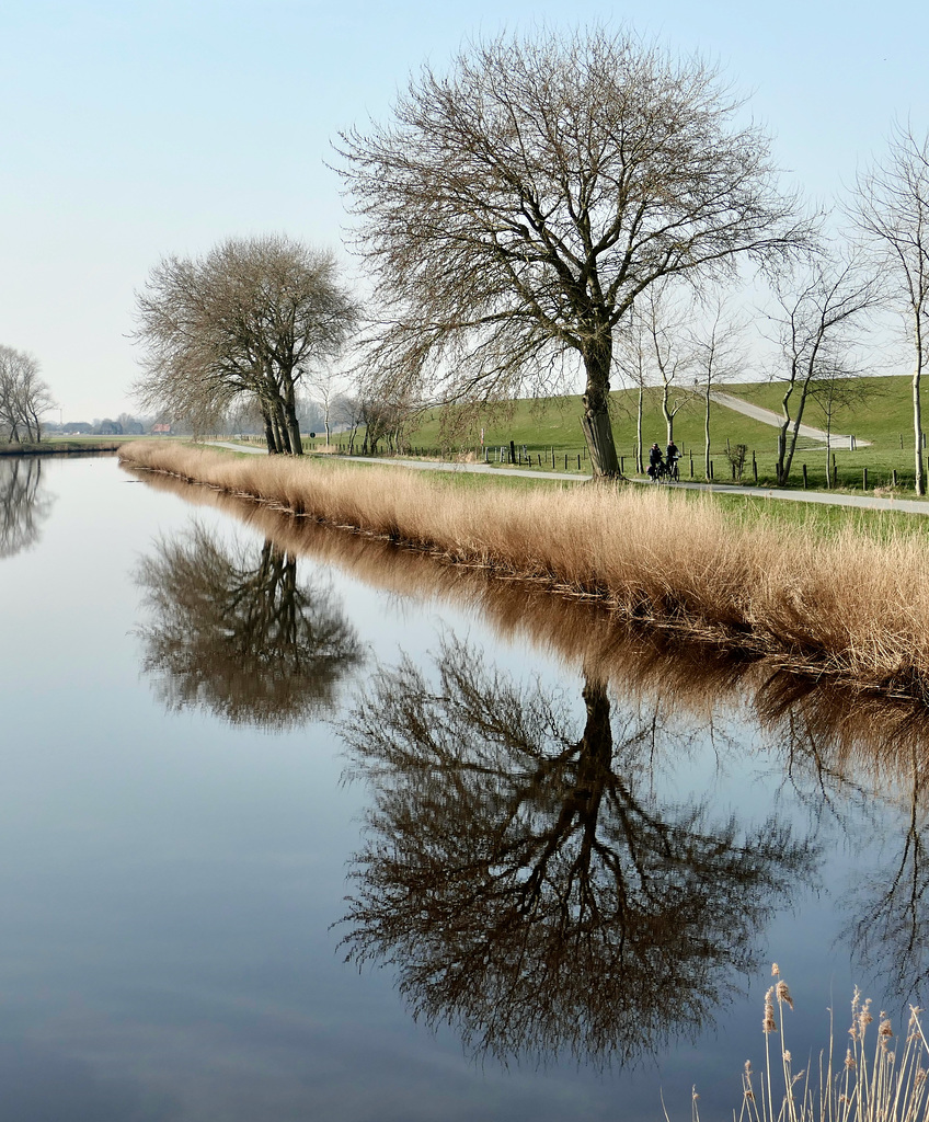 Spiegelung in der Medem