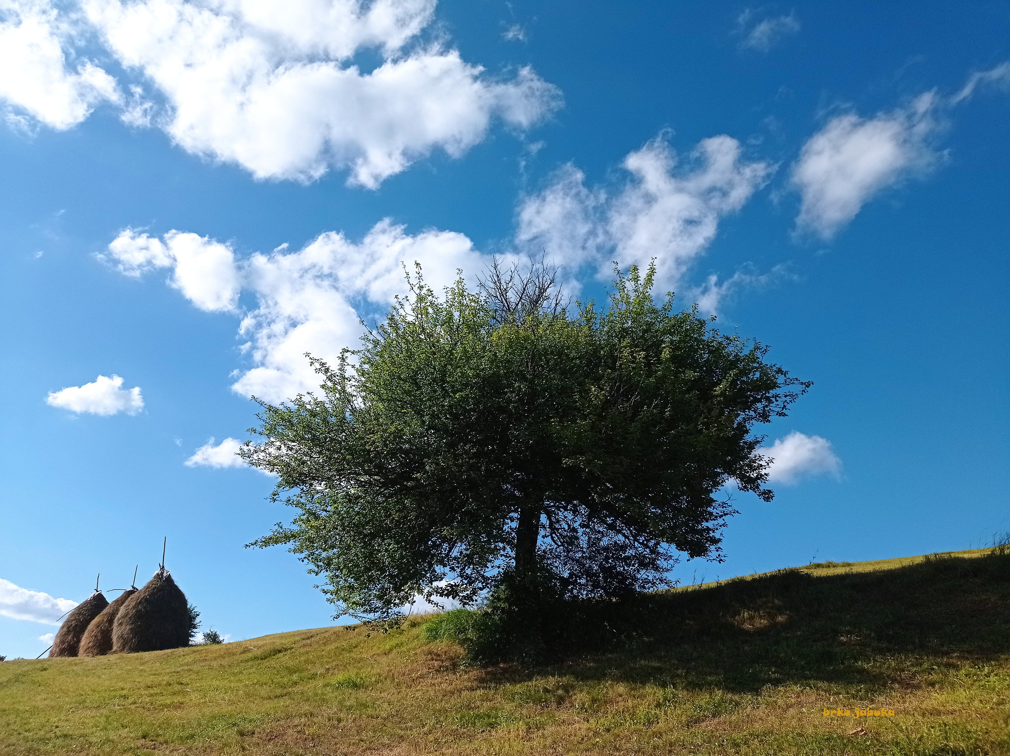 A summer story about three haystacks