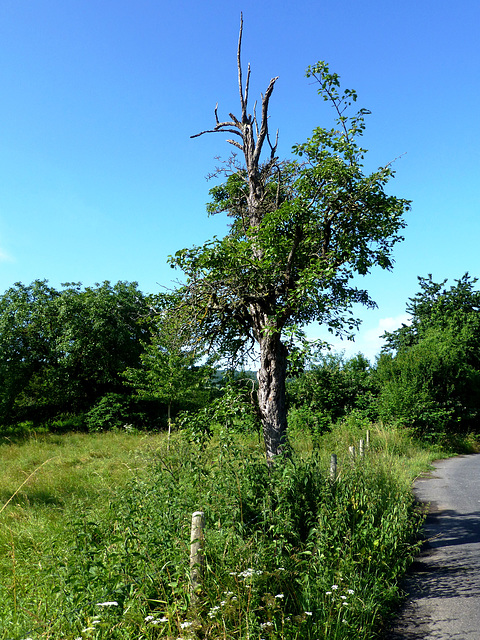 DE - Lohrsdorf