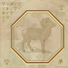 Year of The Sheep 7
