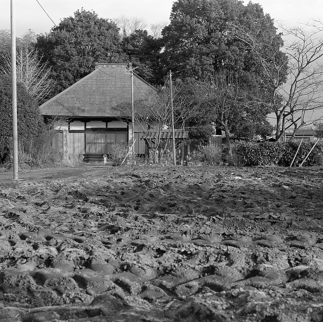 Temple among the fields