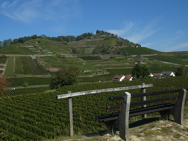 Achkarren (Kaiserstuhl) - Blick zum Schloßberg