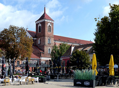 Kaunas - Šv. apaštalų Petro ir Povilo arkikatedra bazilika