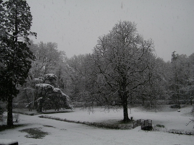 De ma fenêtre... Le parc...