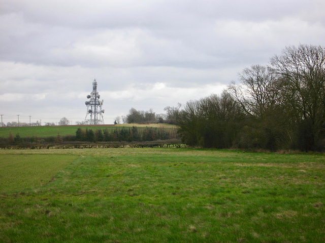 Wireless mast Appleby Hill